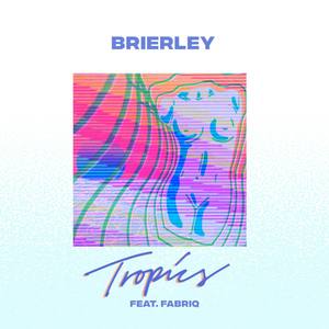 Tropics(feat. Fabriq)