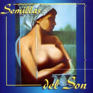 Semillas Del Son (Cuban Son Seeds)