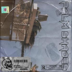 Palm Shades(feat. Sanco) (Explicit)