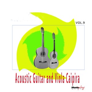 Acoustic Guitar & Viola, Vol. 9