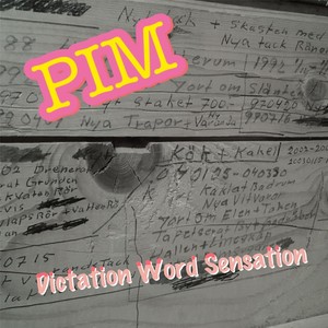 Dictation Word Sensation