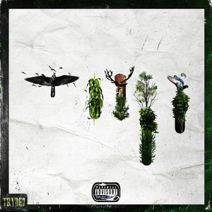 Chaos Control (Explicit)