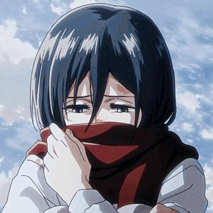 mikasa