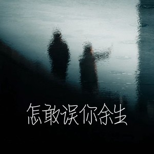 怎敢误你余生