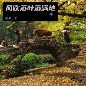 风吹落叶落满地