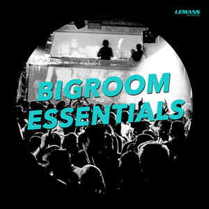 Bigroom Essentials