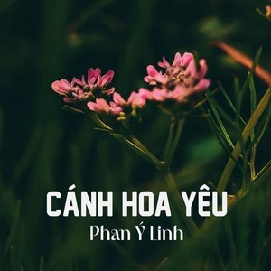 Cánh Hoa Yêu