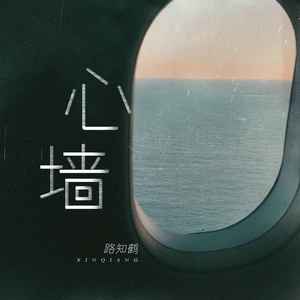 心墙 (DJ版) - 路知鹤封面