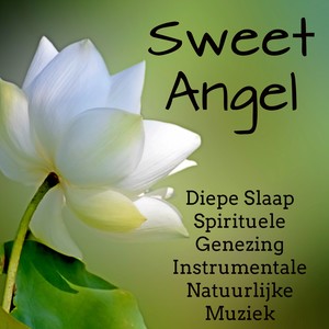 Sweet Angel - Diepe Slaap Spirituele Genezing Instrumentale Natuurlijke Muziek voor Mindfulness Oefeningen Reiki Behandeling Concentratie Verhogen