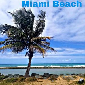 Miami Beach (feat. GTaylorB) [Explicit]