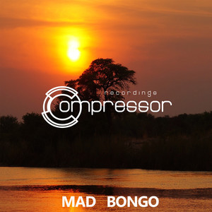 Mad Bongo (Original Mix)