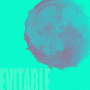 EVITABLE