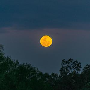 Relaxing Waves of Johanna Beach