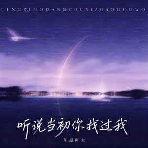 听说当初你找过我