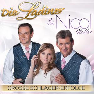 Große Schlager Erfolge