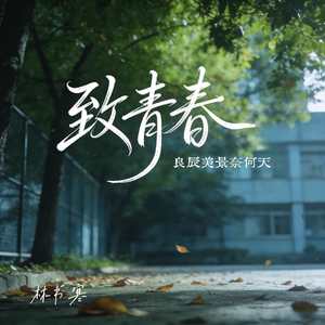 致青春（良辰美景奈何天）