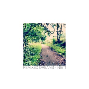 The Land of Nod (NIET! Remix)