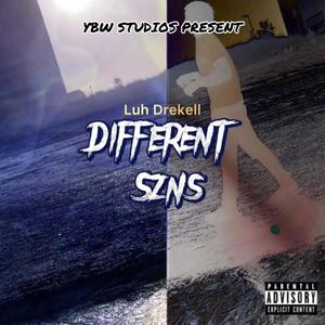 Different Szns, Vol. 1 (Explicit)