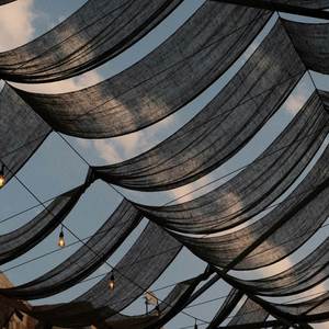 Never Mind the Statue of Liberty You Are the Torch (Explicit)