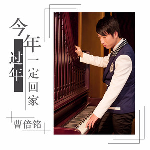 今年过年一定回家