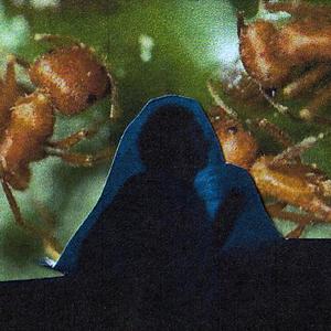 Send My Money (feat. AJRadico) (Explicit)