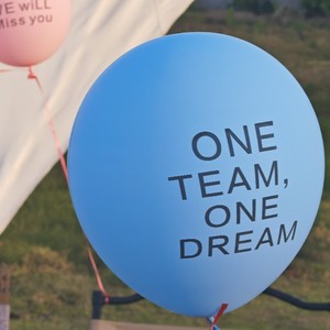 one team one dream