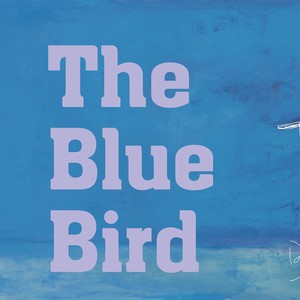 THE TREATURE OF FAIRY