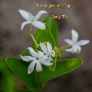 I miss you darling