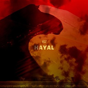 Hayal