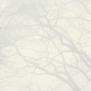 Empty Memory