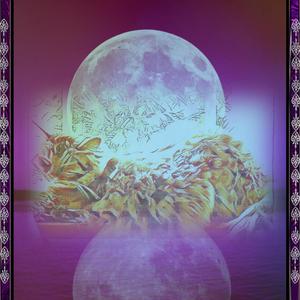 Sikk Mind Of Sheezy (Explicit)