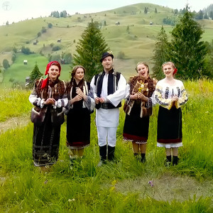 Flori Din Bucovina