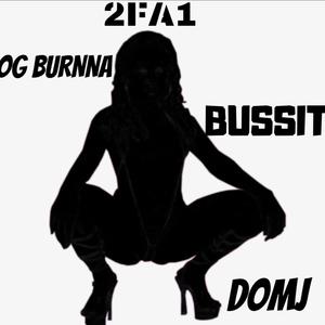 Bussit