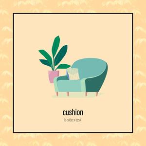 cushion