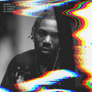 On Purpose(feat. Pitbull & 40 Cobras) (Explicit)