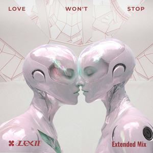Love Won't Stop (Extended Mix)