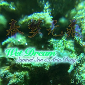 Wet Dream
