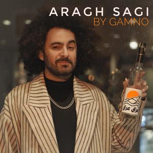 Aragh Sagi