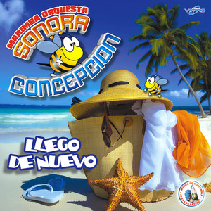 Llegó el Pavo