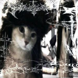 Däru WRLD - HELLCAT (feat. tXL!) (Explicit)