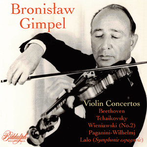 Violin Concerto in D, Op.61 - Violin Concerto in D, Op.61: I. Allegro ma non troppo