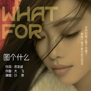 图个什么 (伴奏)