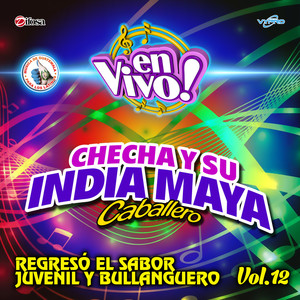 Regresó el Sabor Juvenil y Bullanguero, Vol. 12. Música de Guatemala para los Latinos (En Vivo)