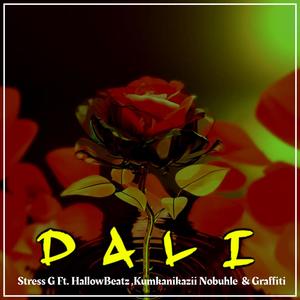 Dali (feat. HallowBeatz  & Kumkanikazii Nobuhle & Graffiti)