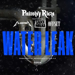 Water Leak (feat. Lil Uzi Vert, Sauce Walka & Offset) [Explicit]