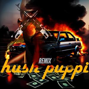 Hush Puppi (feat. Tazer Bouy & TheeOri) (Remix) [Explicit]