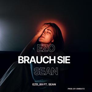 Brauch Sie (feat. Sean) [EMBEATZ Remix]