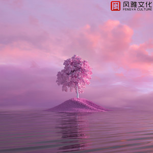 路小雨 -小提琴封面
