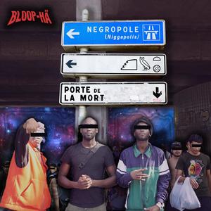 NEGROPOLE NIGGAPOLIS (feat. Ryuk phis, Atila, Kefada & WTFTHISYEAR) (Explicit)