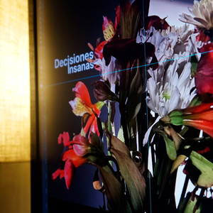 Alguien + (Explicit)